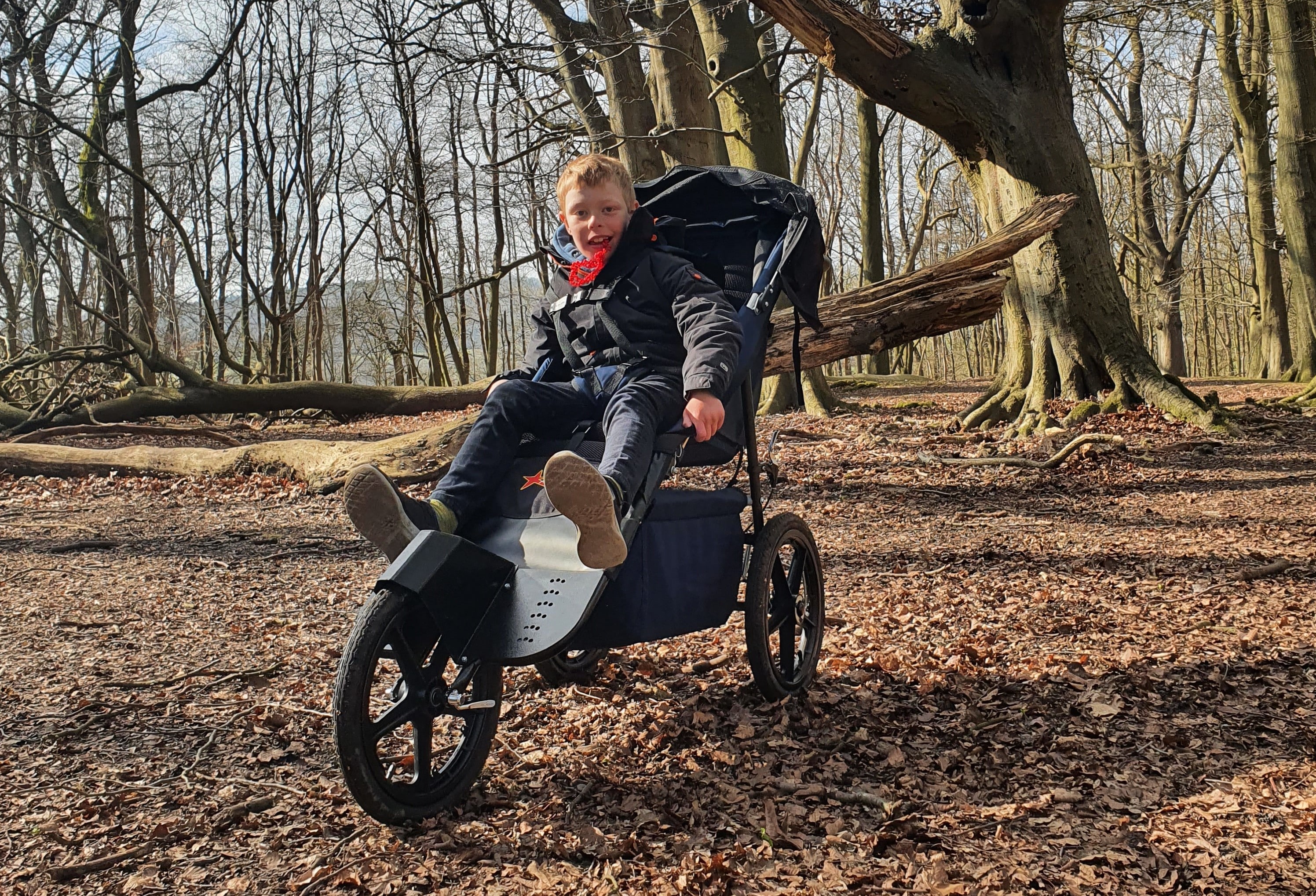 Specialist Push Chair Specialist Push Chair